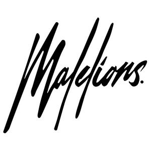 Brand image: Malelions