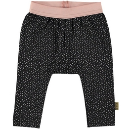 Overview image: BESS legging dots
